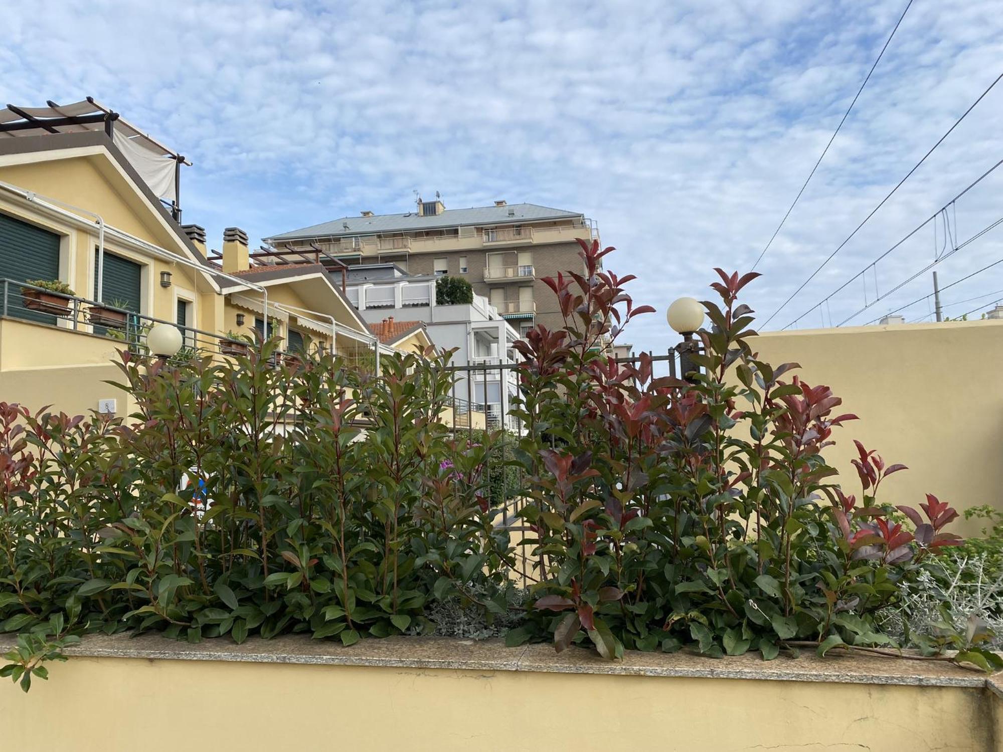 Attico Fronte Mare Residenza Matilde *